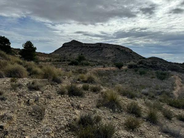 Terreno en Partida Tossal Redó s/n