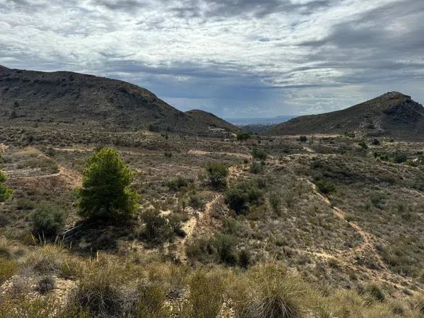 Terreno en Partida Tossal Redó s/n