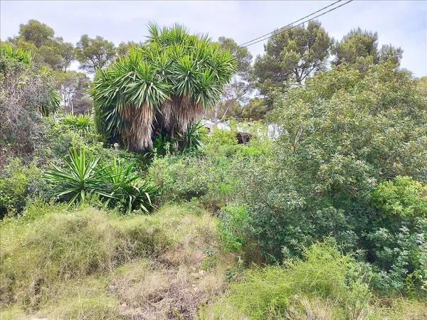 Terreno en calle de Roncadell, 110 -114