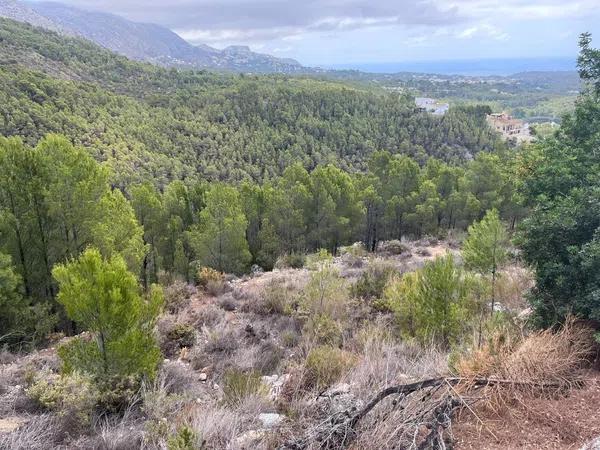 Terreno en Callosa d'En Sarria