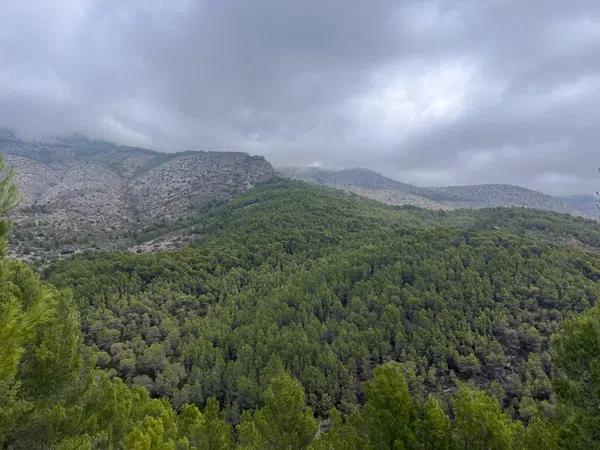 Terreno en Callosa d'En Sarria