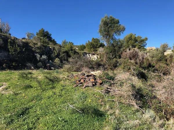 Terreno en Teulada