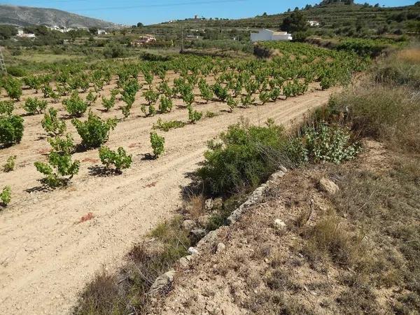 Terreno en Les Fonts