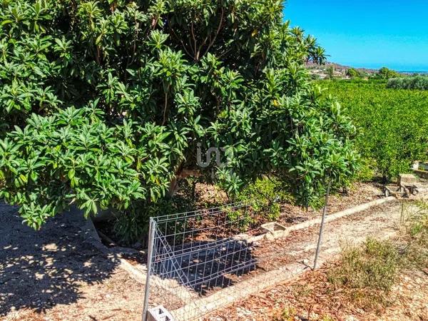 Terreno en Banyeres de Mariola