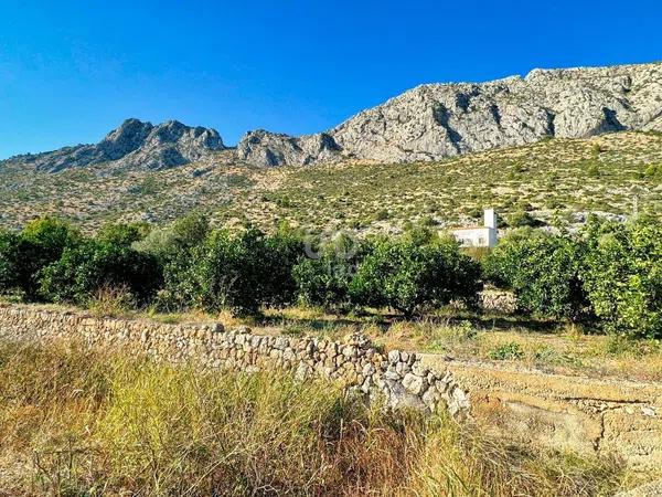 Terreno en Beniarbeig