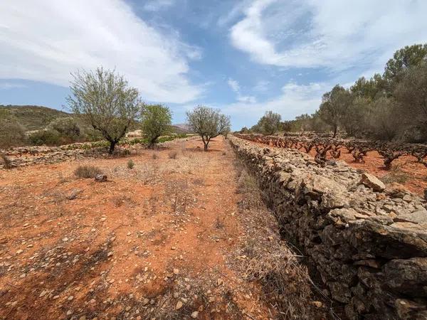 Terreno en Llíber