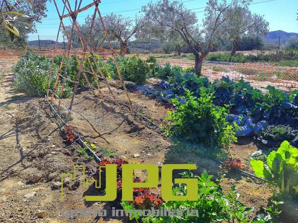 Terreno en Campello Pueblo