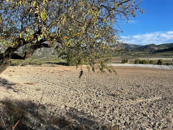 Terreno en Poligono 1