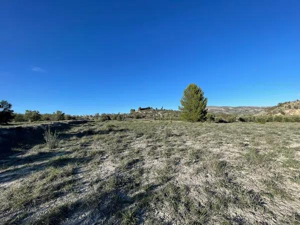 Terreno en Poligono 1