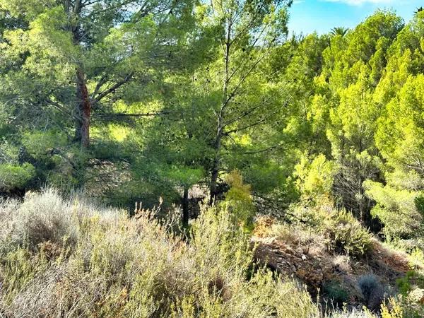 Terreno en Callosa d'En Sarria