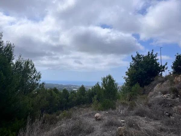 Terreno en calle Palmera