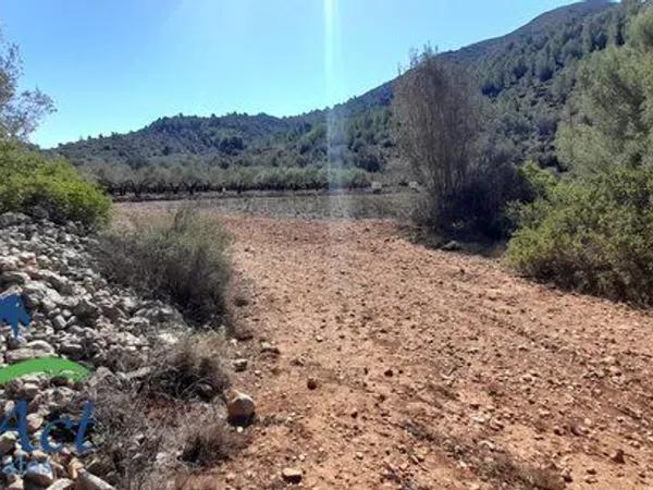 Terreno en Alcalalí