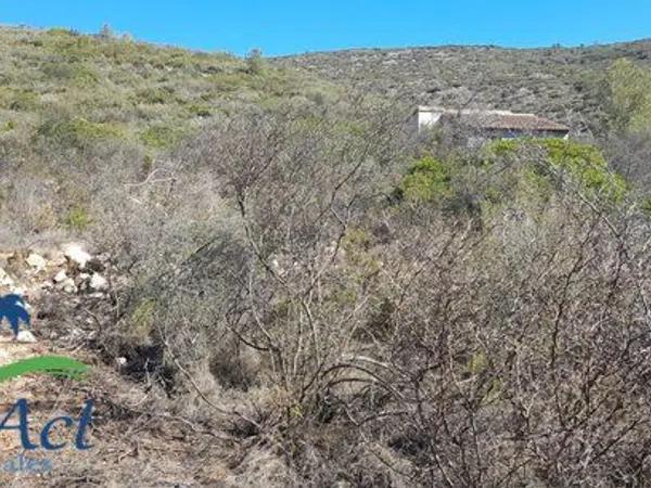 Terreno en Alcalalí