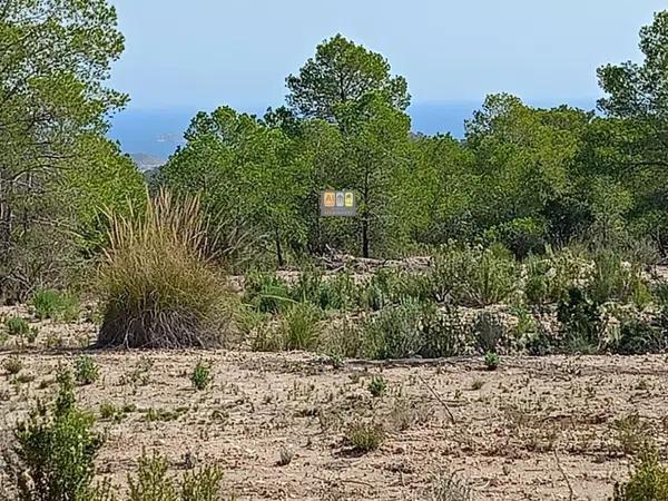 Terreno en Relleu