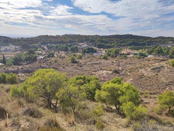 Terreno en Partida Peña Sendra