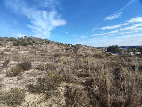 Terreno en Partida Peña Sendra