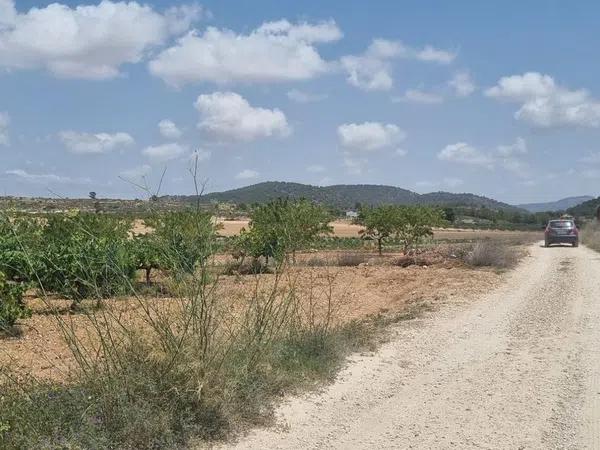 Terreno en Pinoso