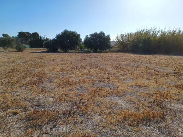 Terreno en camino La Rula