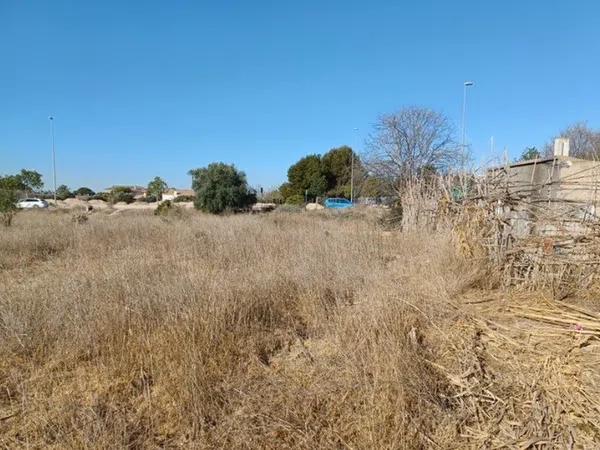 Terreno en camino La Rula