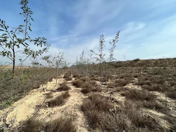 Terreno en Partida Espejeras s/n