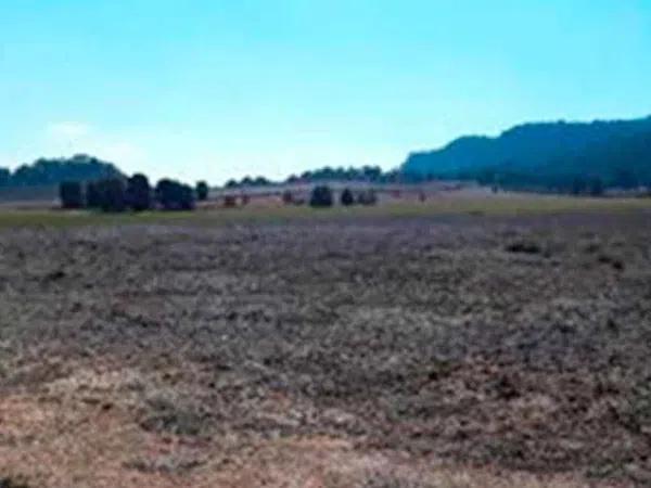 Terreno en carretera de Carboneras a Salinas