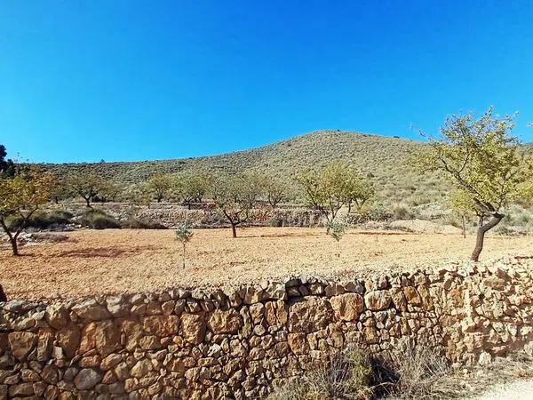 Terreno en la rotura, 122