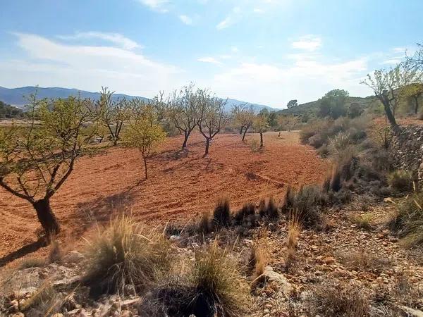 Terreno en la rotura, 122