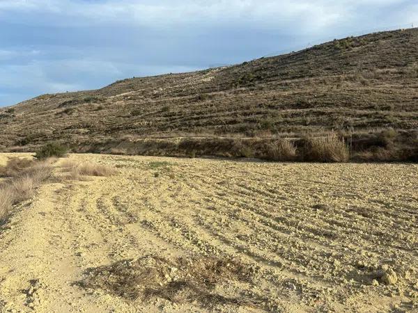 Terreno en alto Polígono 163 Parcela 1089