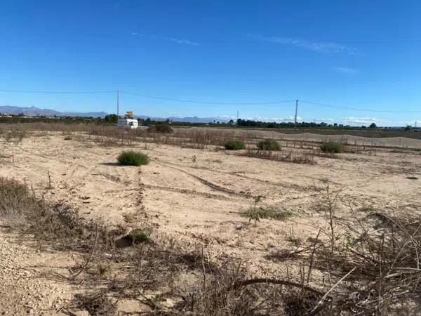 Terreno en La Marina