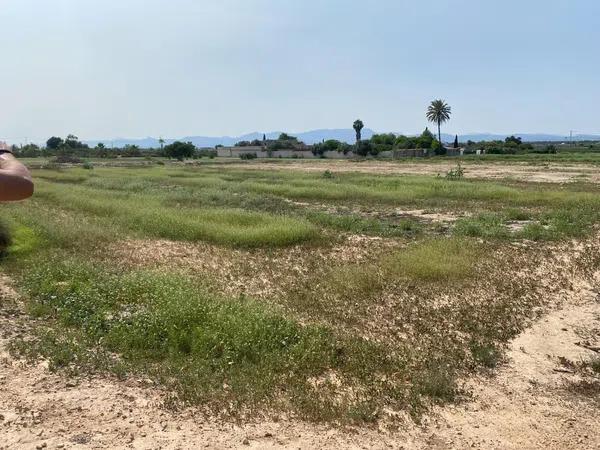 Terreno en La Marina