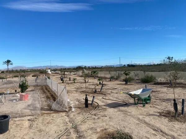 Terreno en La Marina