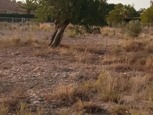 Terreno en calle Vicente Blasco Ibáñez