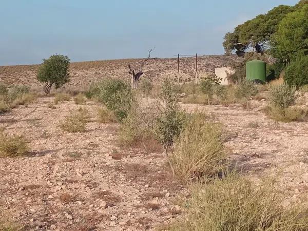 Terreno en calle Vicente Blasco Ibáñez