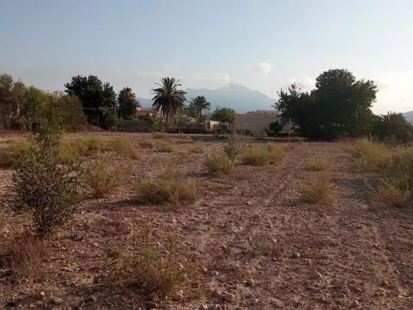 Terreno en calle Vicente Blasco Ibáñez