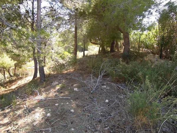 Terreno en calle San Cugat