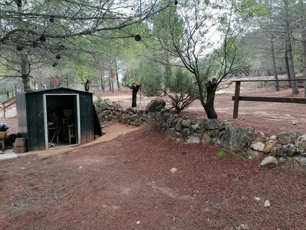 Terreno en carretera de bañeres Cv-804 s/n