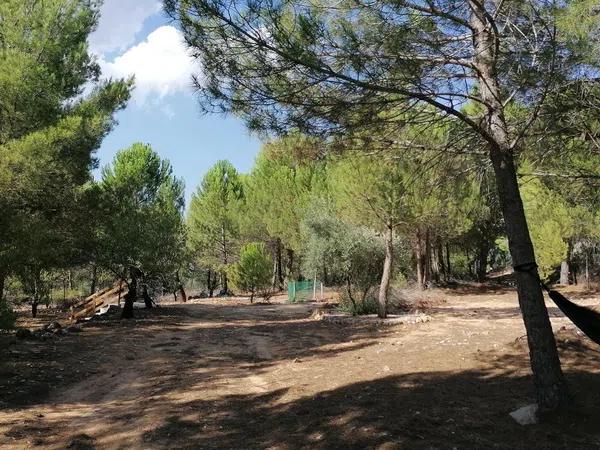 Terreno en carretera de bañeres Cv-804 s/n