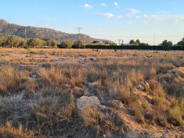 Terreno en Peña Rubia, 168