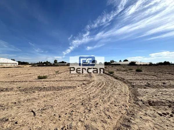 Terreno en camino vell de Alacant