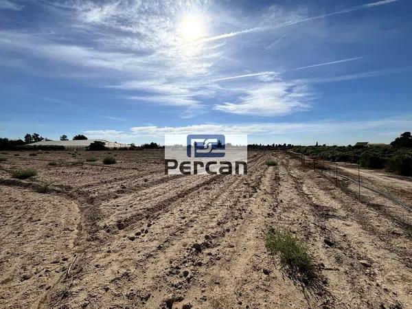 Terreno en camino vell de Alacant