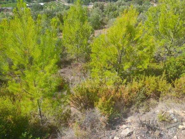 Terreno en Benichembla