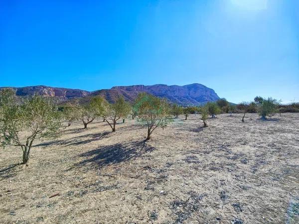 Terreno en La Xara - La Sella - Jesús Pobre