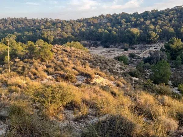 Terreno en El Secanet - Hacienda del Sol