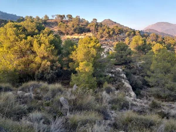 Terreno en El Secanet - Hacienda del Sol