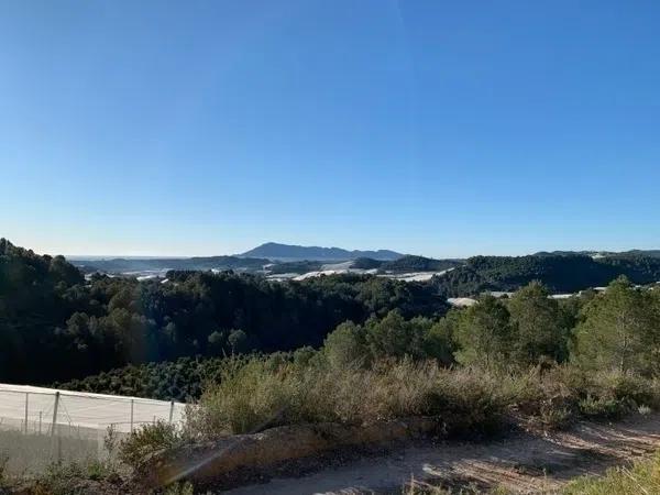 Terreno en Callosa d'En Sarria