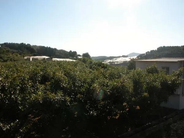 Terreno en Callosa d'En Sarria