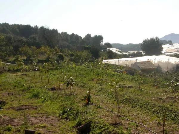 Terreno en Callosa d'En Sarria