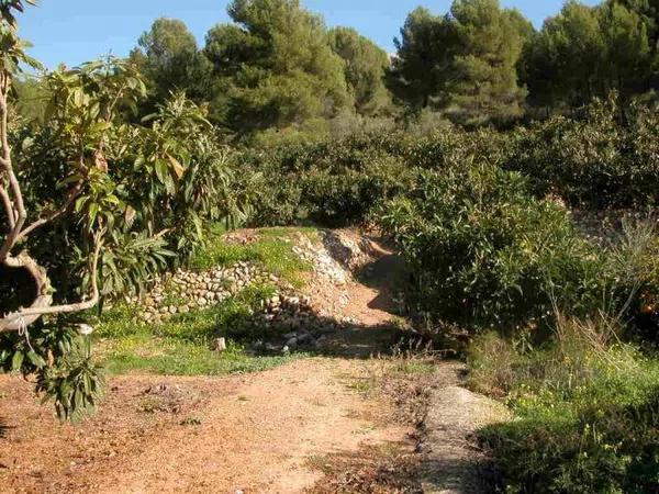 Terreno en Callosa d'En Sarria