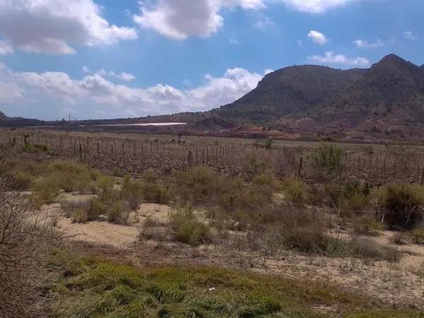 Terreno en polígono 35, 7