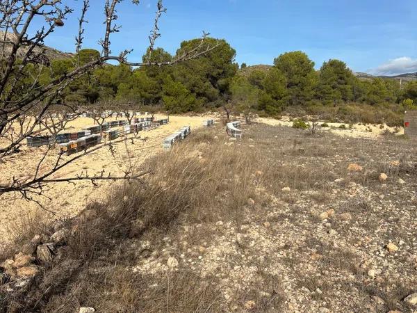 Terreno en plaza Poligono 2, 306